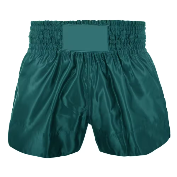 MMA Shorts - HF801