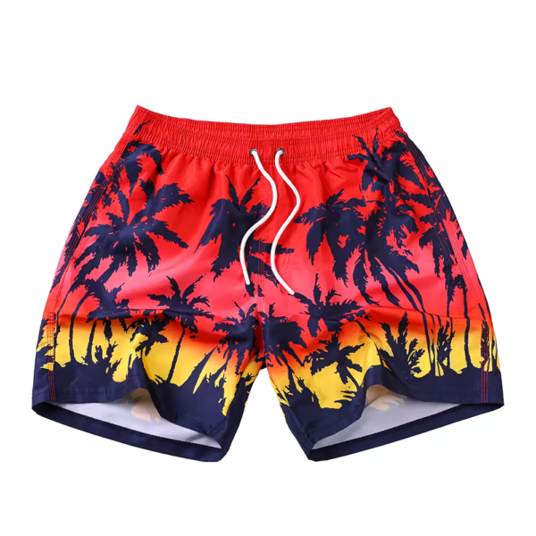 Swim Shorts - HF407